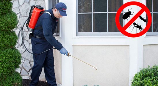 Köprüköy Dezenfeksiyon böcek ilaçlama ve haşere kontrolü — ilaclama-tr.com